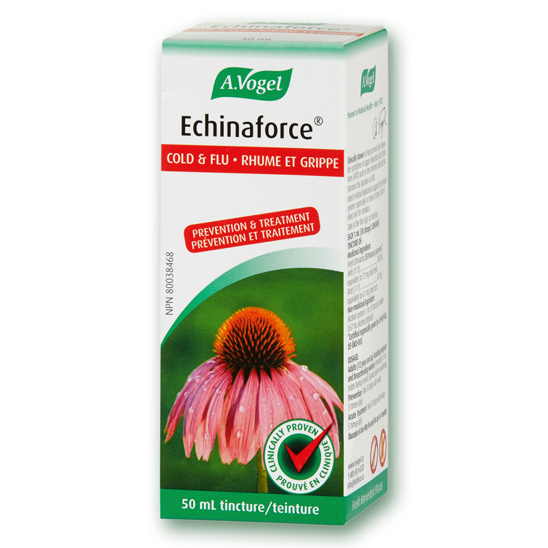Echinaforce Echinacea Purpurea Tincture proven extract for cold & flu