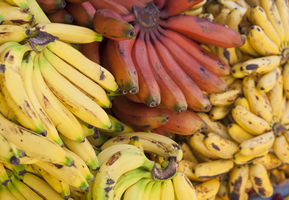 Varieties of Bananas