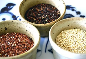 Quinoa Information nutritionnelle bienfaits pour la sant