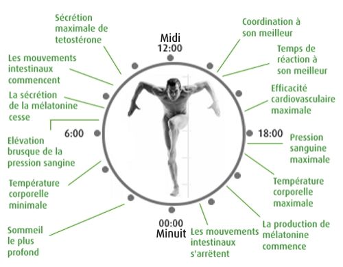 Lhorloge Biologique Et Les Troubles Du Sommeil 4963